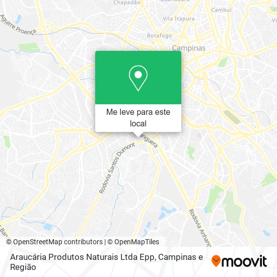 Araucária Produtos Naturais Ltda Epp mapa