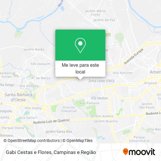 Gabi Cestas e Flores mapa