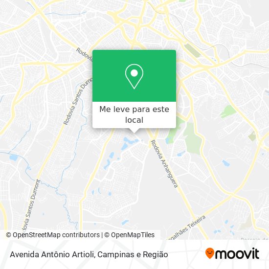 Avenida Antônio Artioli mapa