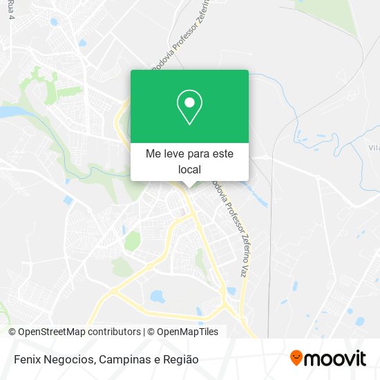Fenix Negocios mapa