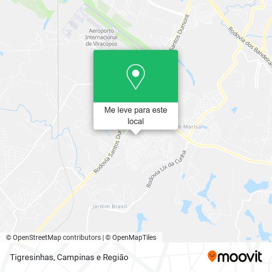 Tigresinhas mapa