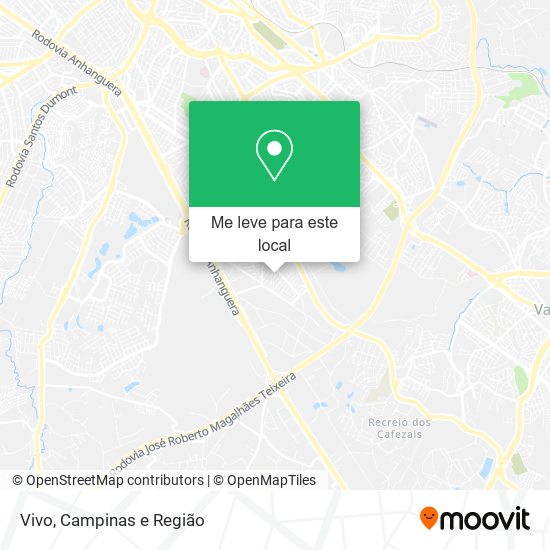 Vivo mapa