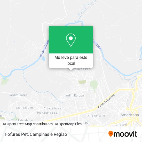 Fofuras Pet mapa