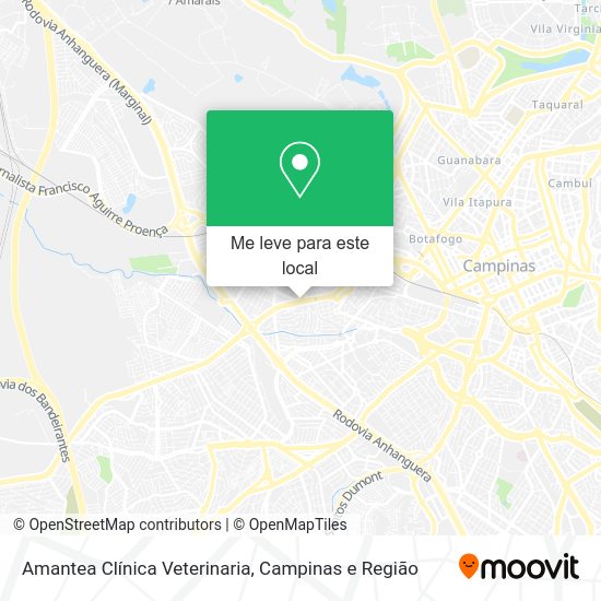 Amantea Clínica Veterinaria mapa