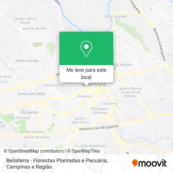 Bellaterra - Florestas Plantadas e Pecuária mapa