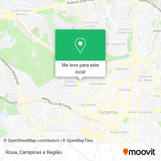 Rosa mapa