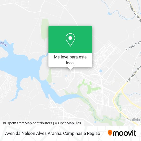 Avenida Nelson Alves Aranha mapa