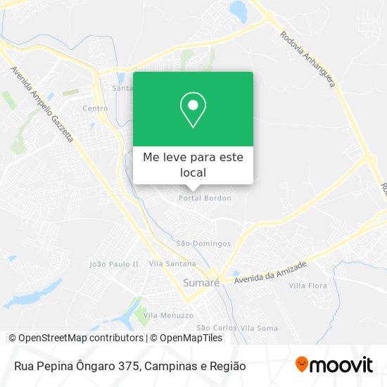 Rua Pepina Ôngaro 375 mapa