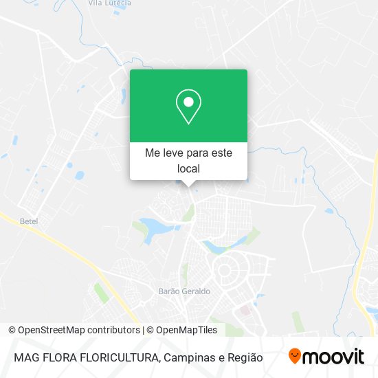 MAG FLORA FLORICULTURA mapa
