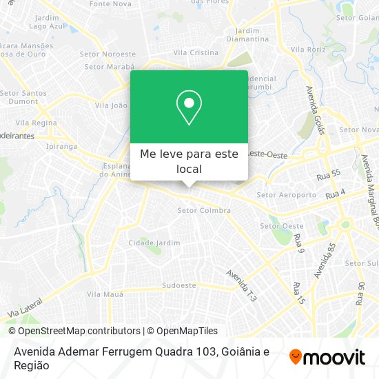 Avenida Ademar Ferrugem Quadra 103 mapa