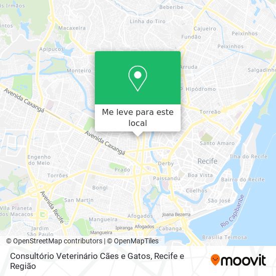 Consultório Veterinário Cães e Gatos mapa