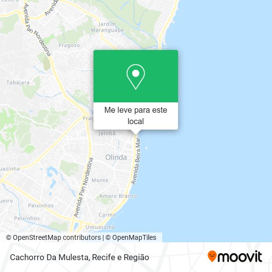 Cachorro Da Mulesta mapa