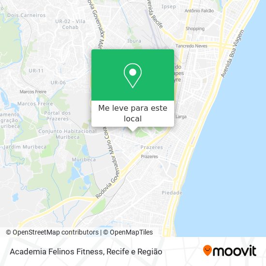 Academia Felinos Fitness mapa