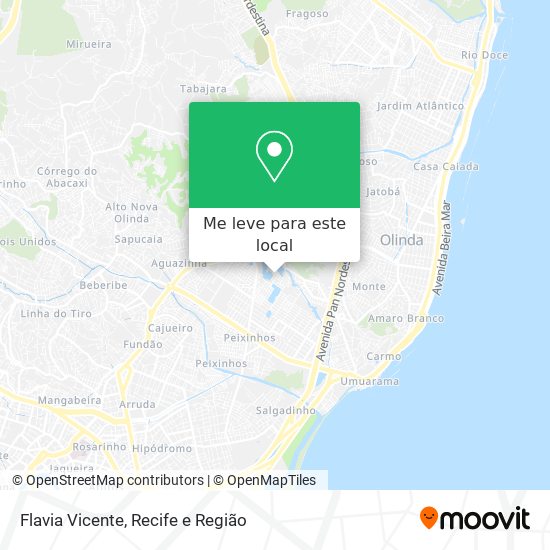 Flavia Vicente mapa