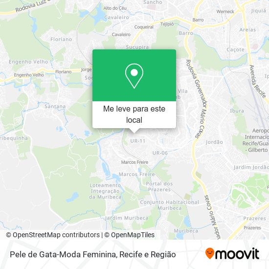 Pele de Gata-Moda Feminina mapa