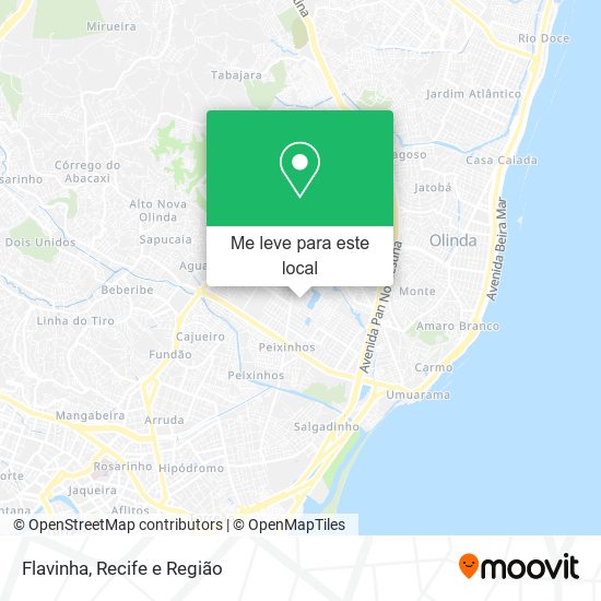 Flavinha mapa