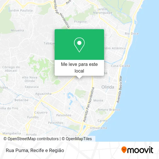 Rua Puma mapa
