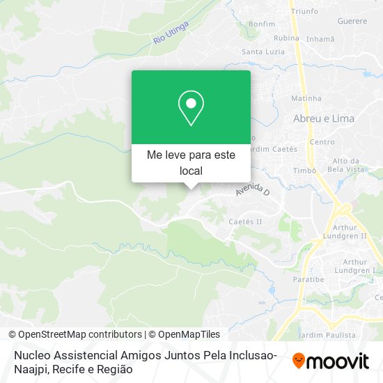 Nucleo Assistencial Amigos Juntos Pela Inclusao-Naajpi mapa