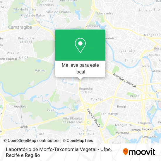 Laboratório de Morfo-Taxonomia Vegetal - Ufpe mapa