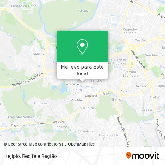 tejipió mapa