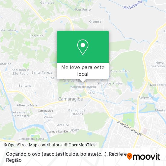 Coçando o ovo (saco,testículos, bolas,etc...) mapa