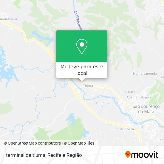 terminal de tiuma mapa