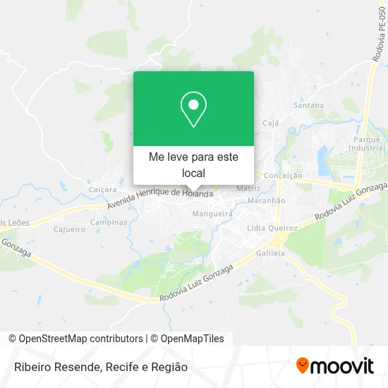 Ribeiro Resende mapa