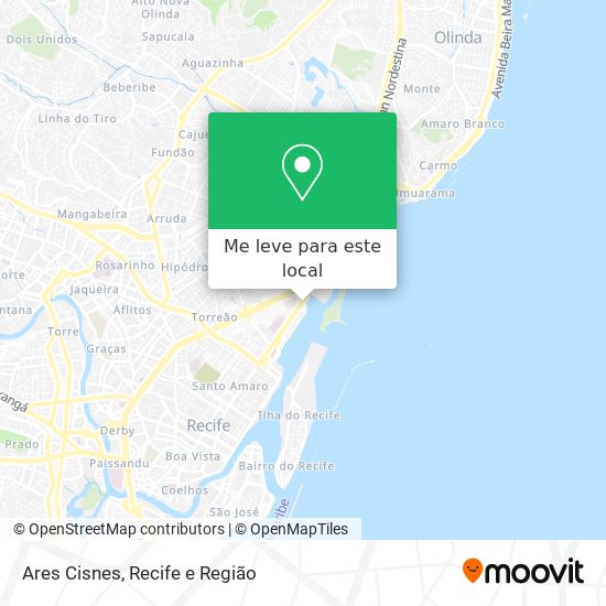 Ares Cisnes mapa