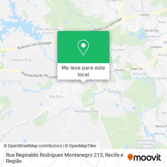 Rua Reginaldo Rodrigues Montenegro 213 mapa