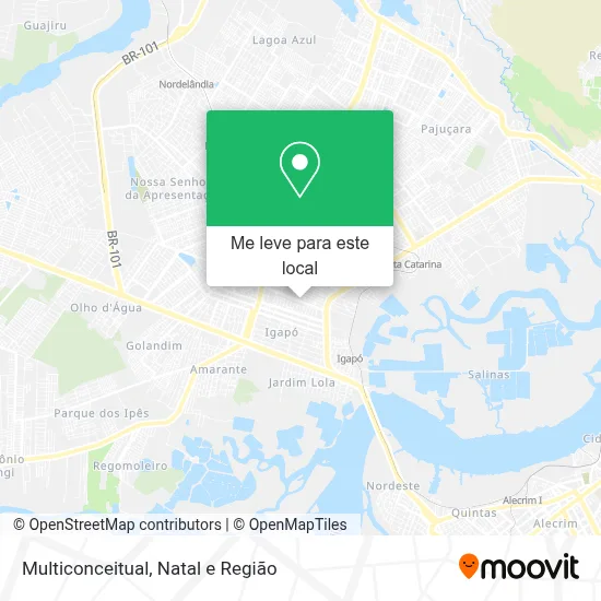 Multiconceitual mapa