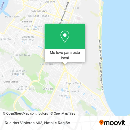 Rua das Violetas 603 mapa