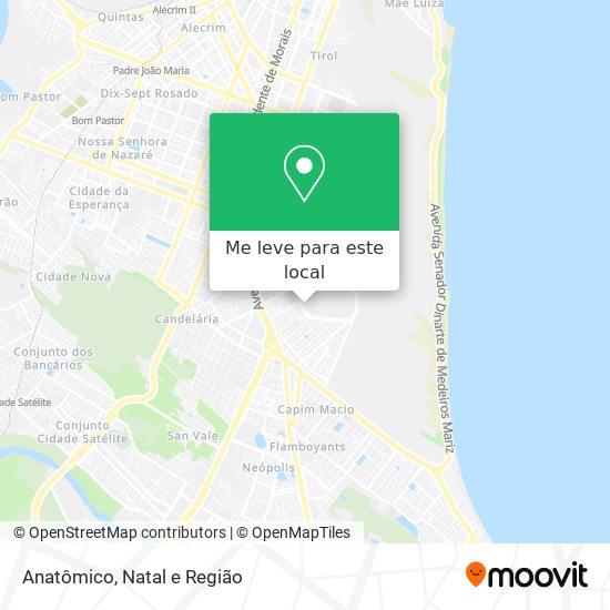 Anatômico mapa