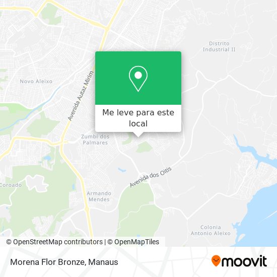 Morena Flor Bronze mapa