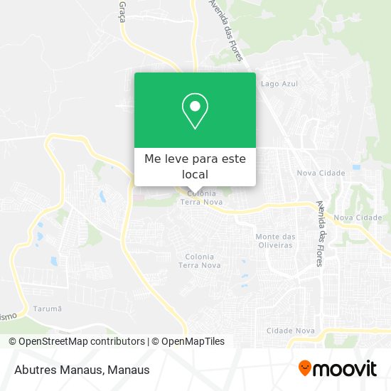 Abutres Manaus mapa