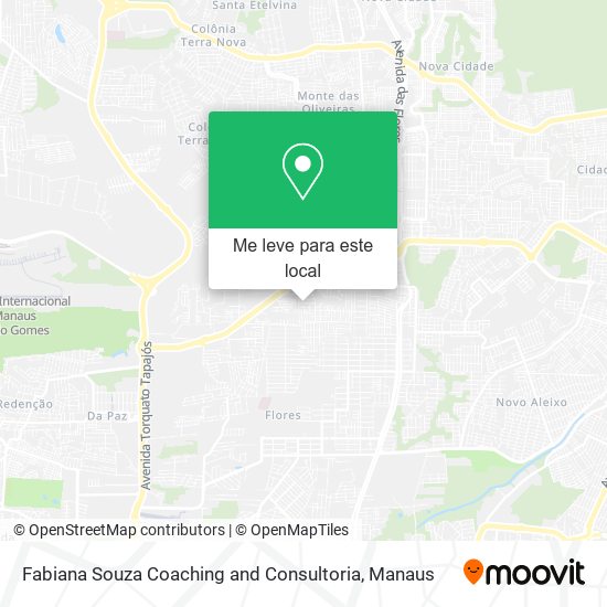 Fabiana Souza Coaching and Consultoria mapa