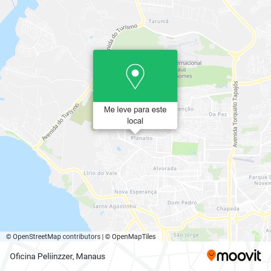 Oficina Peliinzzer mapa