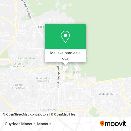 Guydeez Manaus mapa