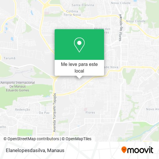 Elanelopesdasilva mapa