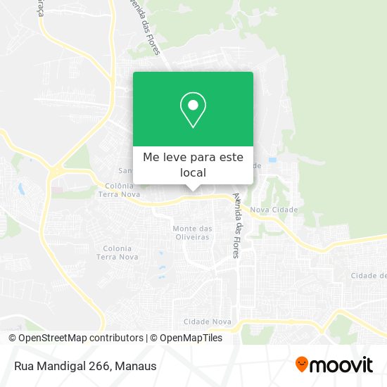 Rua Mandigal 266 mapa