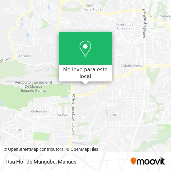 Rua Flor de Munguba mapa