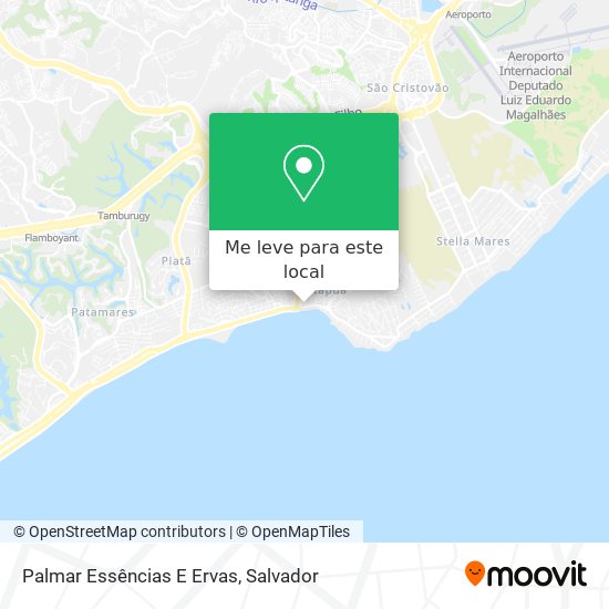 Palmar Essências E Ervas mapa