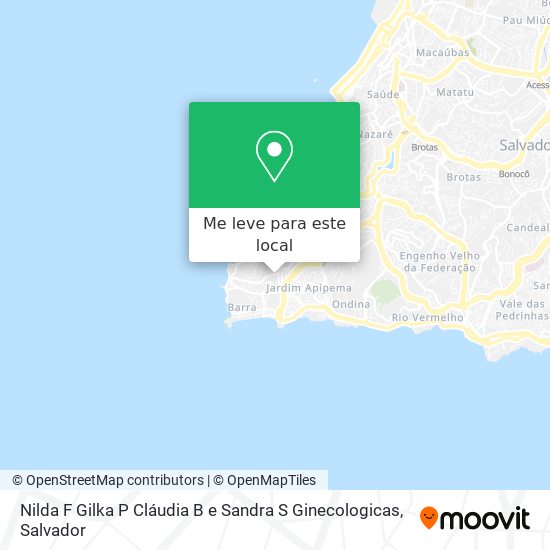 Nilda F Gilka P Cláudia B e Sandra S Ginecologicas mapa