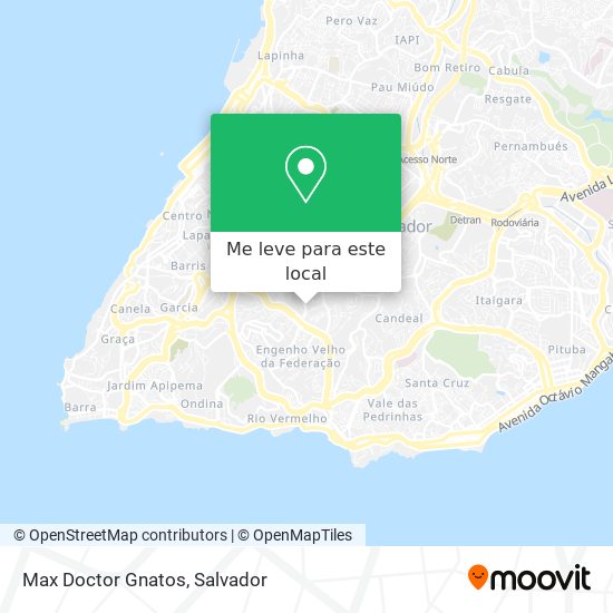 Max Doctor Gnatos mapa