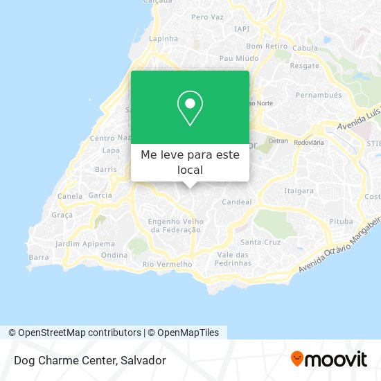 Dog Charme Center mapa