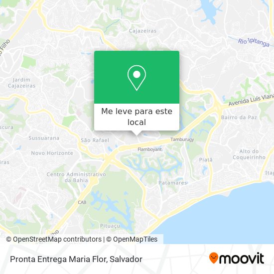 Pronta Entrega Maria Flor mapa