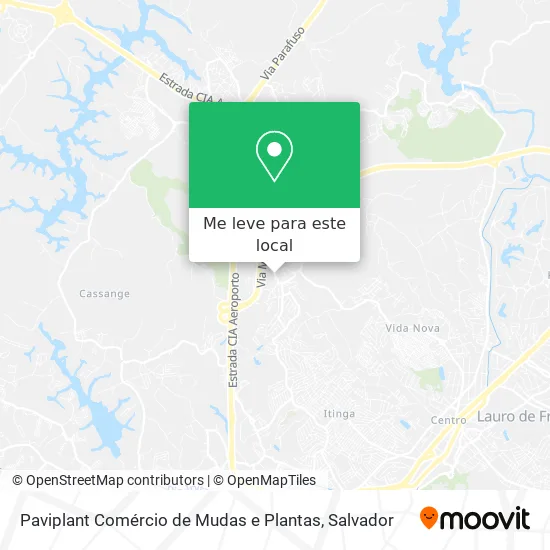 Paviplant Comércio de Mudas e Plantas mapa