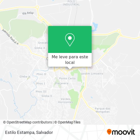 Estilo Estampa mapa