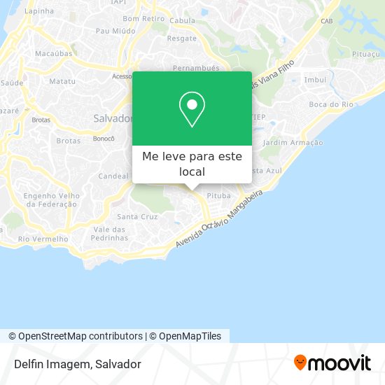 Delfin Imagem mapa