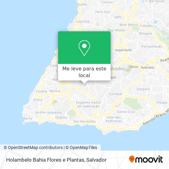 Holambelo Bahia Flores e Plantas mapa