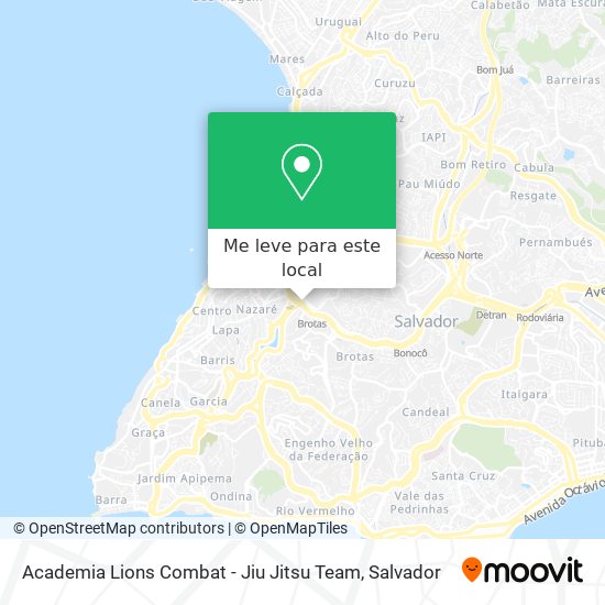 Academia Lions Combat - Jiu Jitsu Team mapa